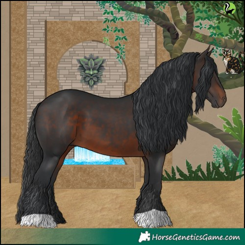 Horse Color:Brown 