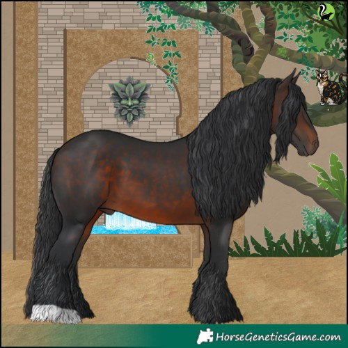 Horse Color:Brown 