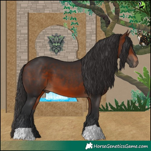 Horse Color:Bay 