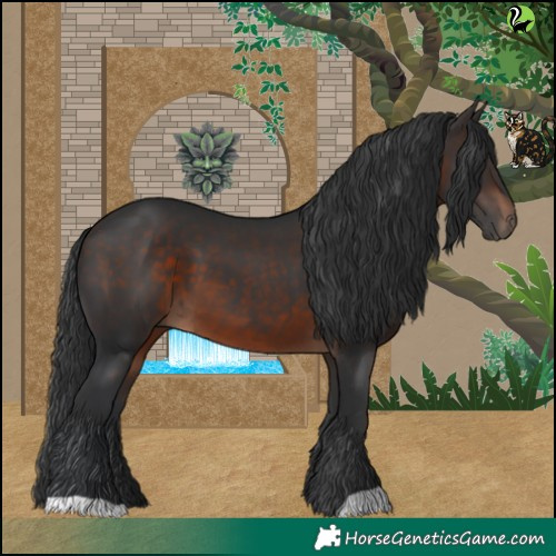 Horse Color:Brown 