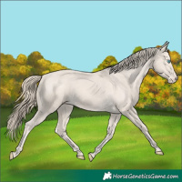 Horse Color:Smoky Creme Varnish