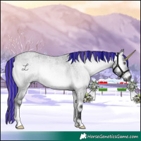 Horse Color:Gray Painted Bay Chinchilla Roan Onyx 