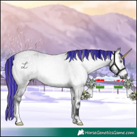 Horse Color:Gray Painted Bay Chinchilla Roan Onyx