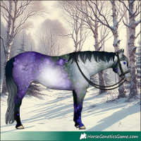 Horse Color:ERROR: UNKNOWN ANOMALY