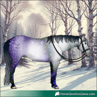 Horse Color:ERROR: UNKNOWN ANOMALY