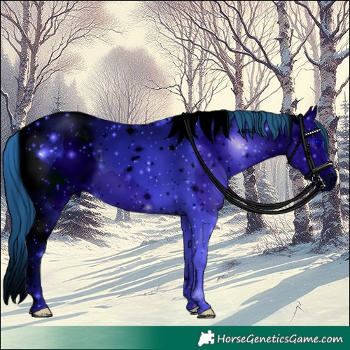 Horse Color:ERROR: UNKNOWN ANOMALY
