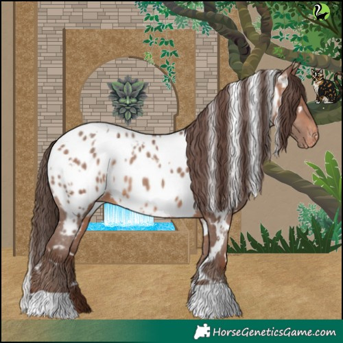 Horse Color:White Spotted Sable Champagne Appaloosa 