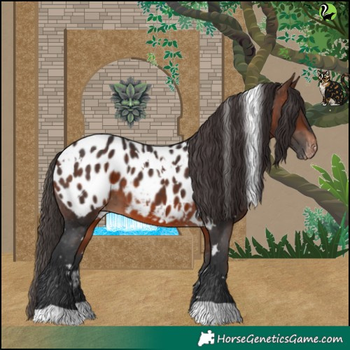 Horse Color:White Spotted Brown Blanket 