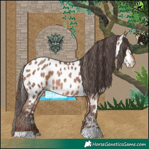 Horse Color:Sable Champagne Near Leopard 