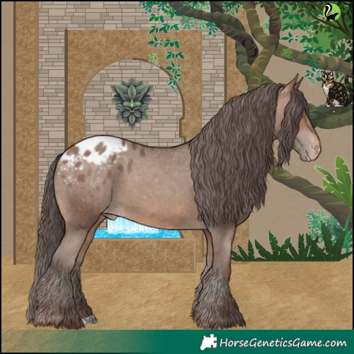 Horse Color:Sable Champagne Appaloosa 