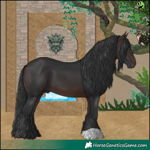 Horse Color:Brown 