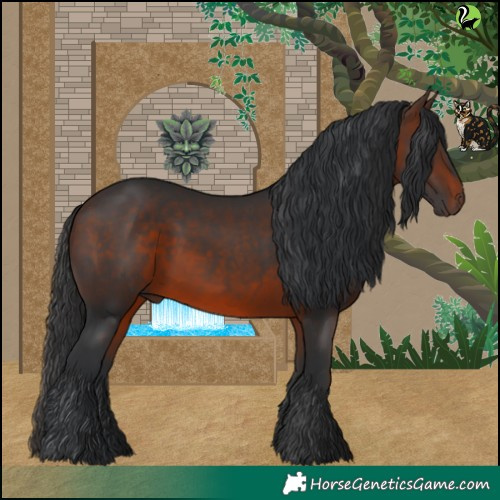 Horse Color:Brown 