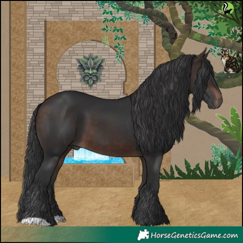 Horse Color:Brown 