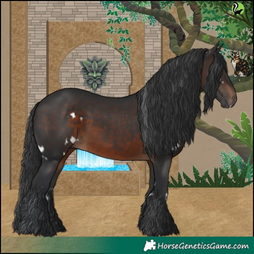 Horse Color:White Spotted Brown 