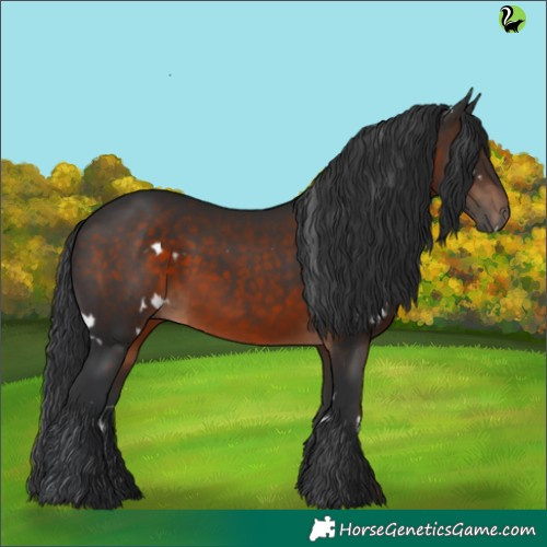 Horse Color:White Spotted Brown 
