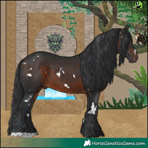 Horse Color:White Spotted Brown