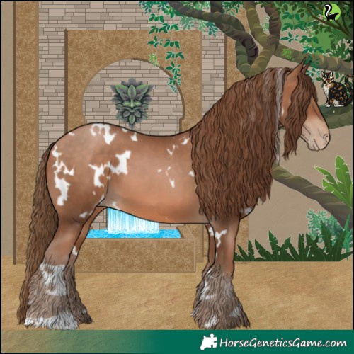 Horse Color:White Spotted Brown Pearl 