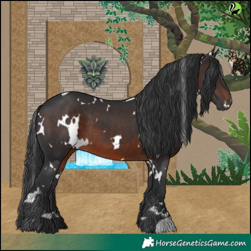 Horse Color:White Spotted Brown 