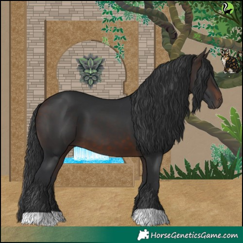 Horse Color:Brown 