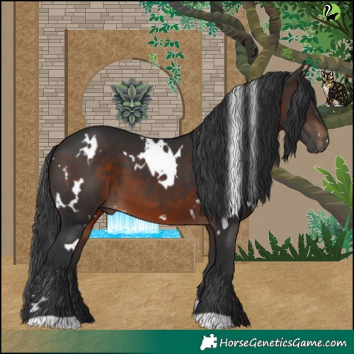 Horse Color:White Spotted Brown 