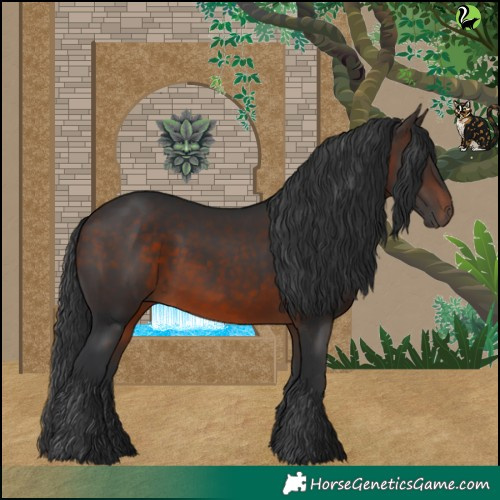 Horse Color:Brown 