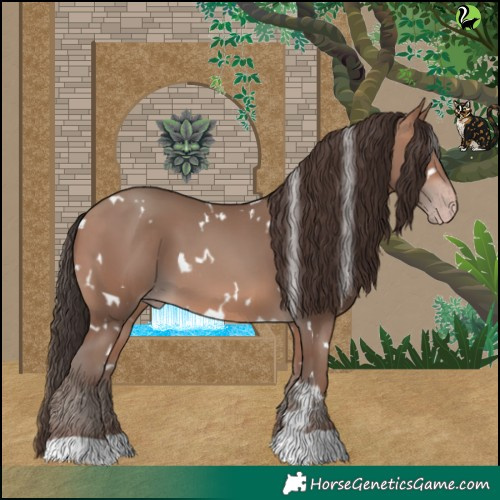 Horse Color:White Spotted Sable Champagne 
