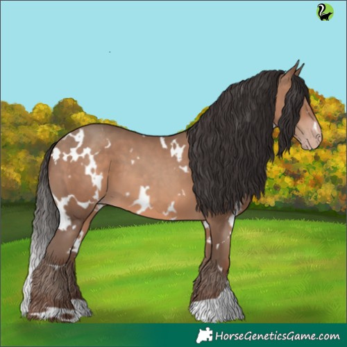 Horse Color:White Spotted Sable Champagne 