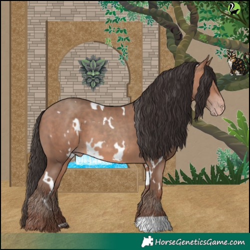 Horse Color:White Spotted Sable Champagne 
