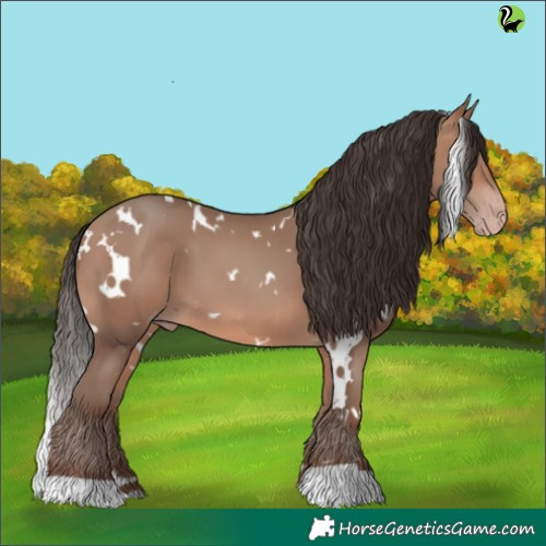 Horse Color:White Spotted Sable Champagne 