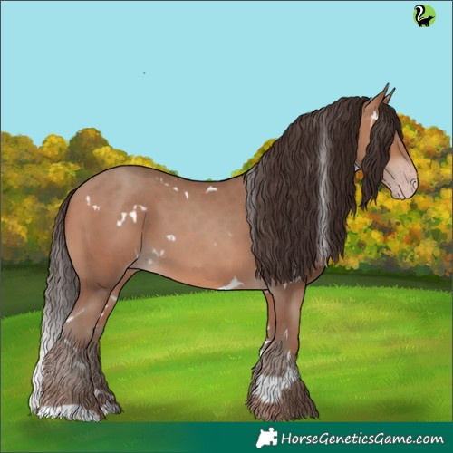 Horse Color:White Spotted Sable Champagne 