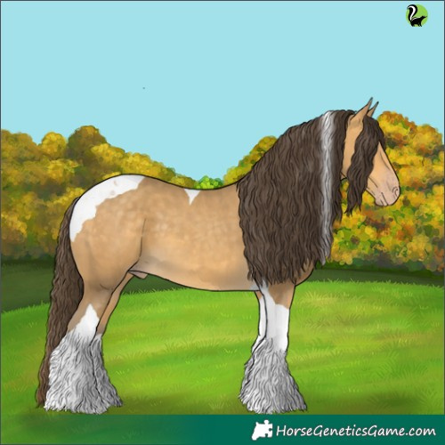 Horse Color:Sable Cream Champagne Tobiano 