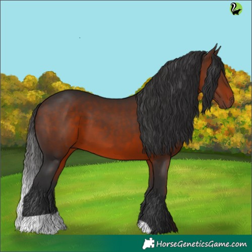 Horse Color:Brown 