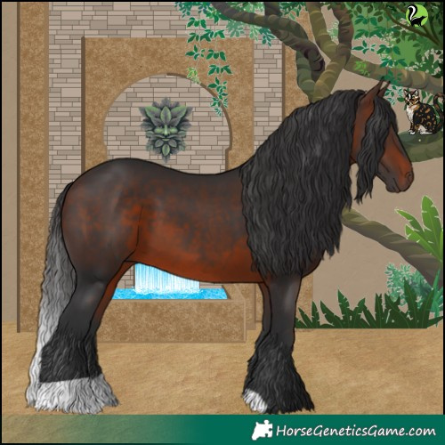Horse Color:Brown 