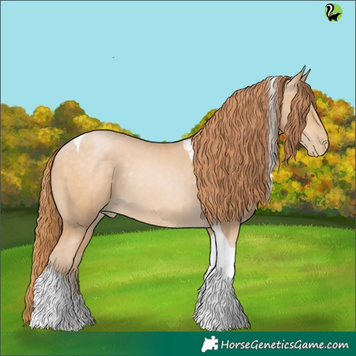 Horse Color:Buckskin Pearl Tobiano 