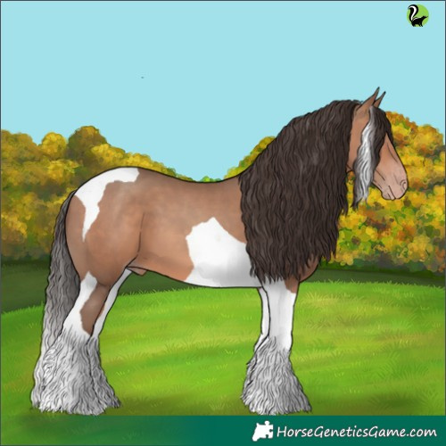 Horse Color:Sable Champagne Tobiano
