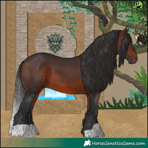 Horse Color:Brown 