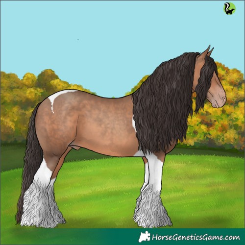 Horse Color:Sable Champagne Tobiano