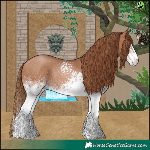 Horse Color:White Spotted Bay Pearl Rabicano 