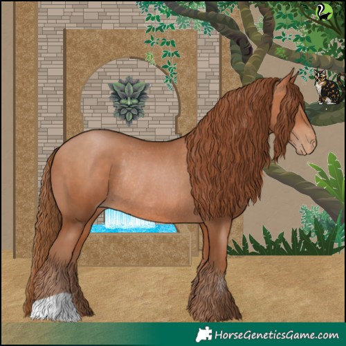 Horse Color:Brown Pearl Rabicano 