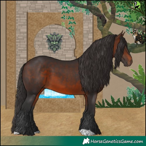 Horse Color:Brown 
