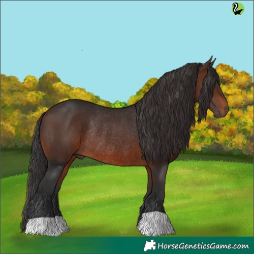Horse Color:Brown Rabicano 