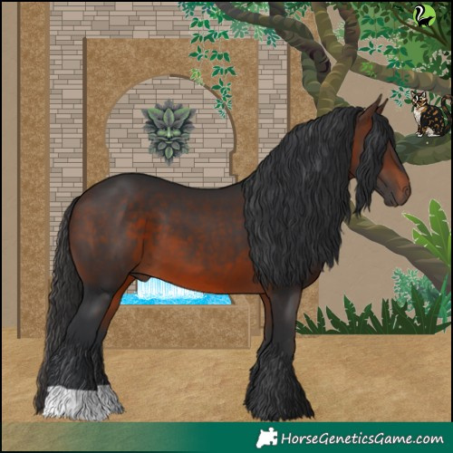 Horse Color:Brown 