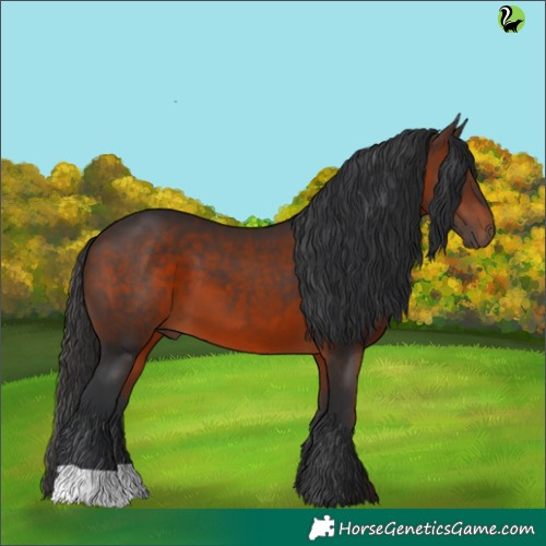 Horse Color:Brown 