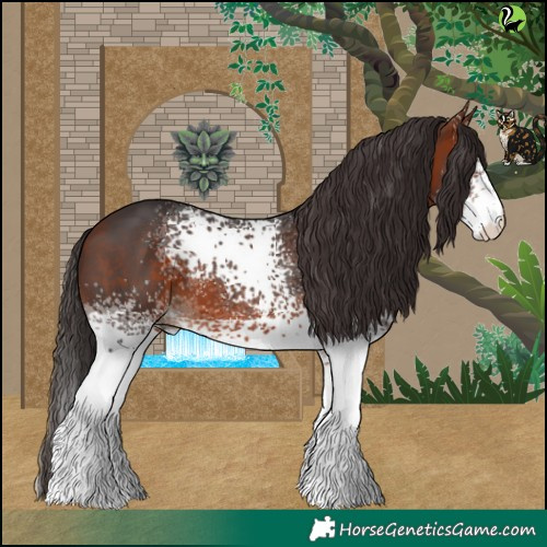 Horse Color:White Spotted Bay 