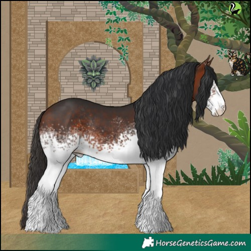 Horse Color:White Spotted Bay Rabicano 