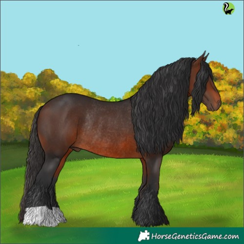 Horse Color:Brown Rabicano 