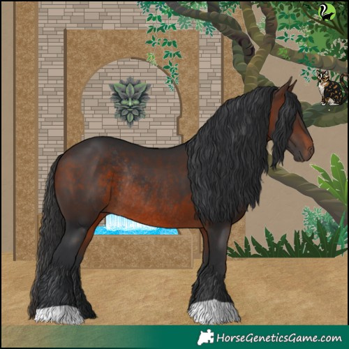 Horse Color:Brown Rabicano 