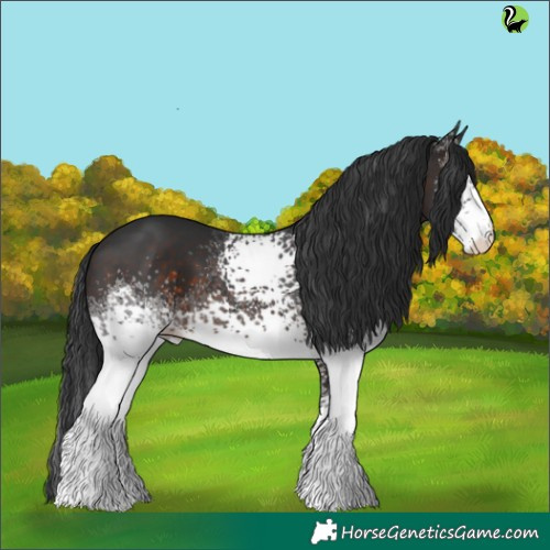 Horse Color:White Spotted Brown 