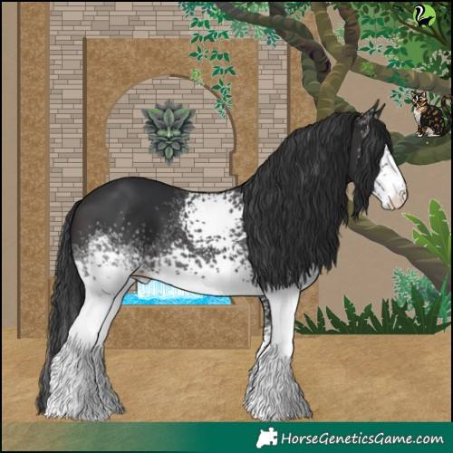 Horse Color:White Spotted Brown 
