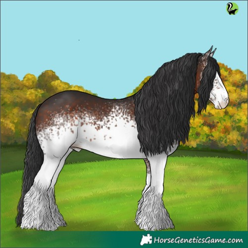 Horse Color:White Spotted Brown 